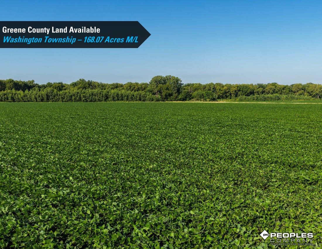 Listing Photo: Greene-County-Land-Available-168-Acres-19616 (3)
